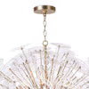 Regina Andrew Poppy Glass Chandelier Large (Clear) 38 Height